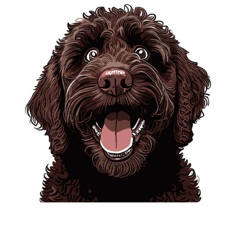 Jafeiniii.de